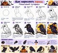 Tutorial on How to Draw a Raven for Halloween