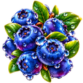 Digital sticker PNG. Printable sticker. Instant download. NFT sticker blueberry. 1.