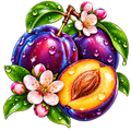 Sticker NFT. Plums.