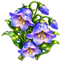 Digital sticker PNG. Printable sticker. Instant download. Bellflower.
