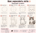Tutorial on How to Draw a Cat