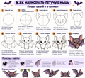 Tutorial on How to Draw a Bat