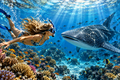 A girl and a shark.